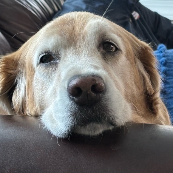 Meet your Posher, Claudia - Picture 1 of 2